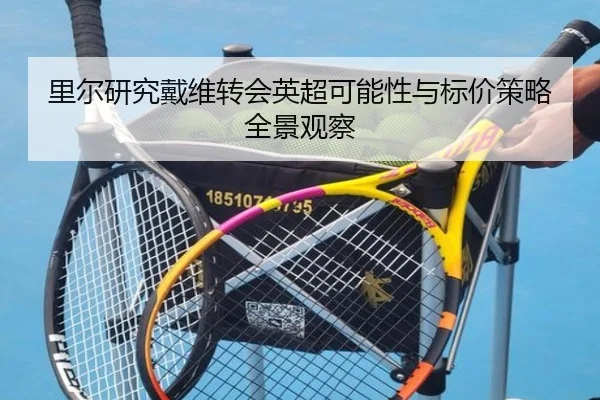 里尔研究戴维转会英超可能性与标价策略全景观察